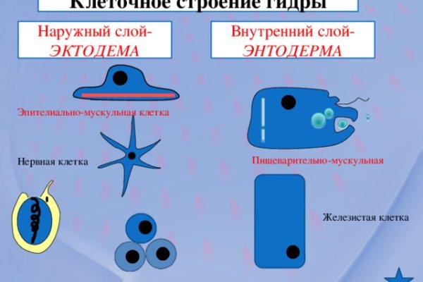 Купить наркотики через кракен