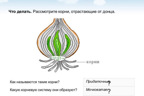 Кракен заблокировали